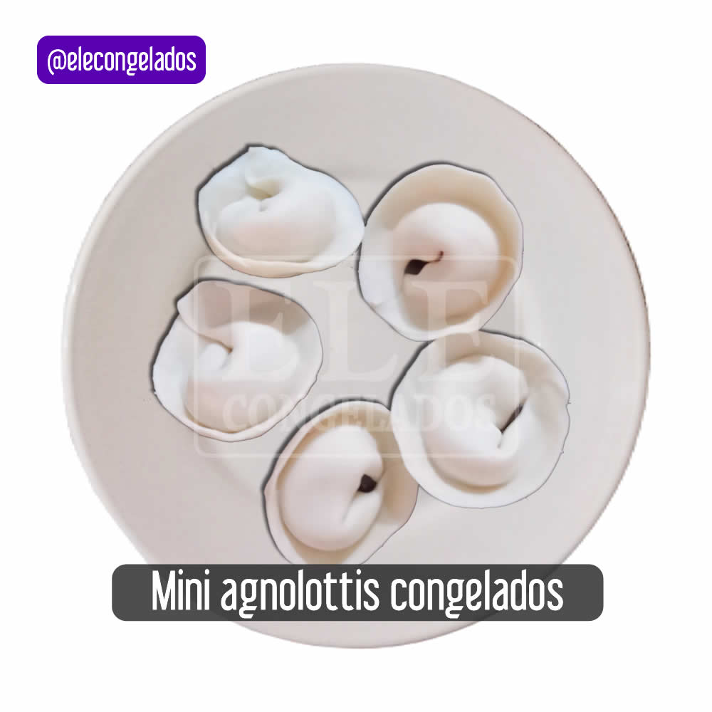 mini agnolotis congelados