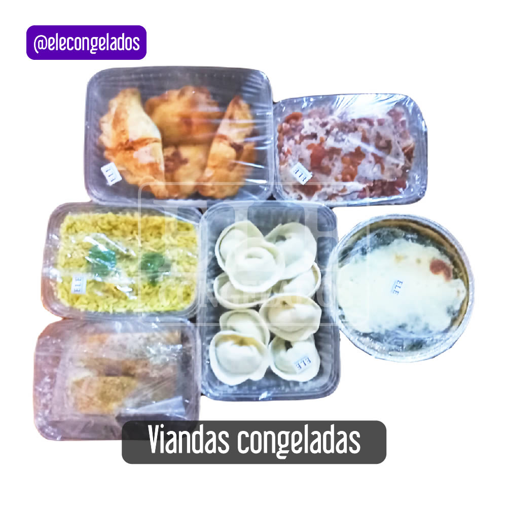 viandas congeladas semanales